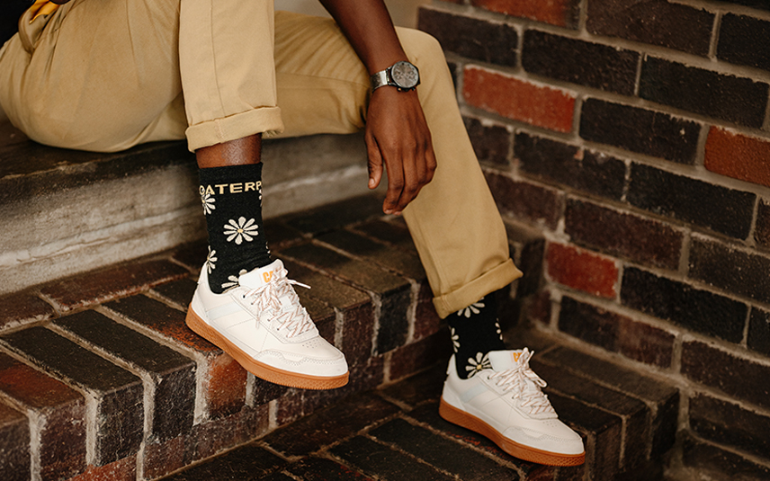 Socks From Cat Socks From Cat