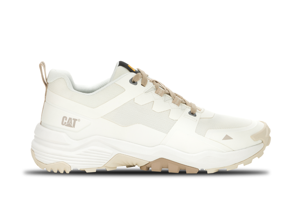Shoe_953x653px_1